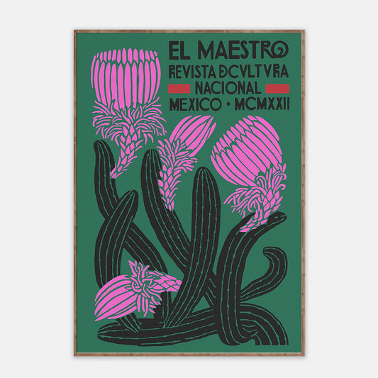 Vintage mexco graphic